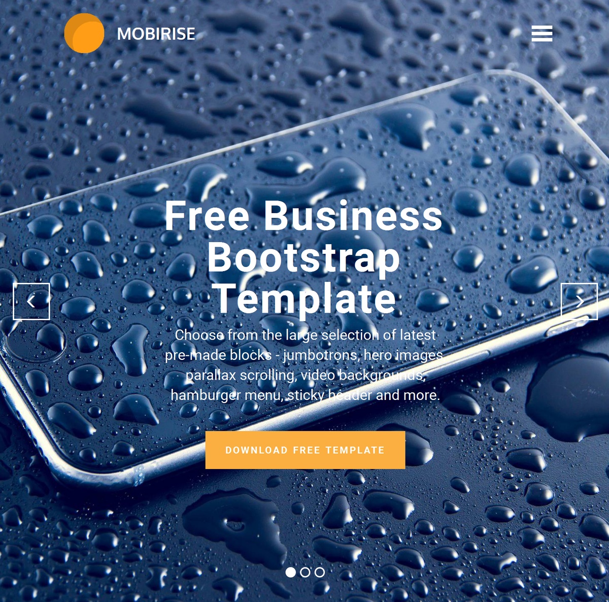 Best Responsive  Templates Themes Extensions